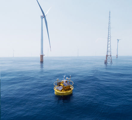 품질  Metal Ocean Buoy Wave CTD Profile Current Oceanographic Buoy 공장